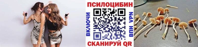 Галлюциногенные грибы MAGIC MUSHROOMS  Купить  Пудож 